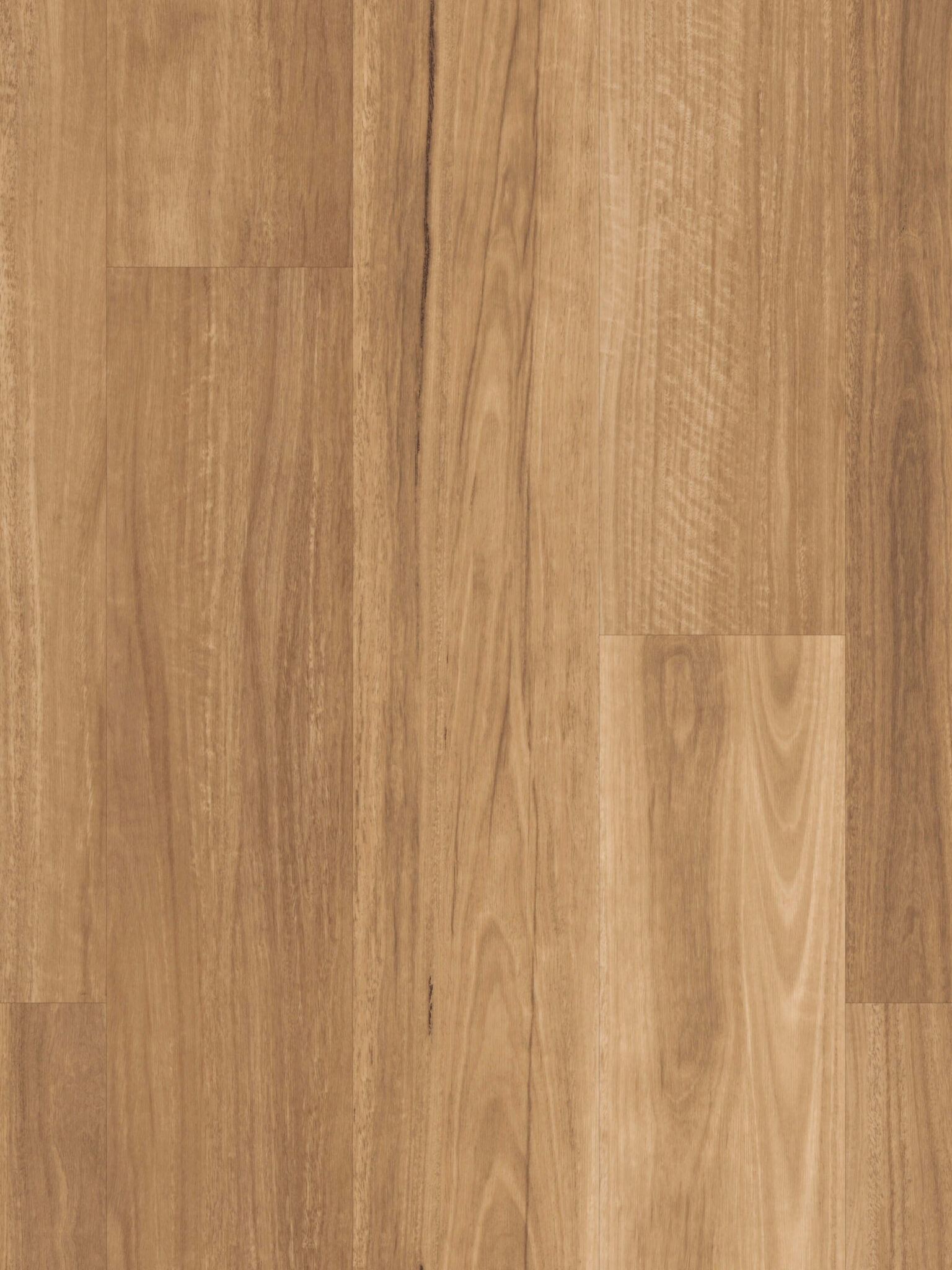 Lemon Spotted Gum Karma Flooring