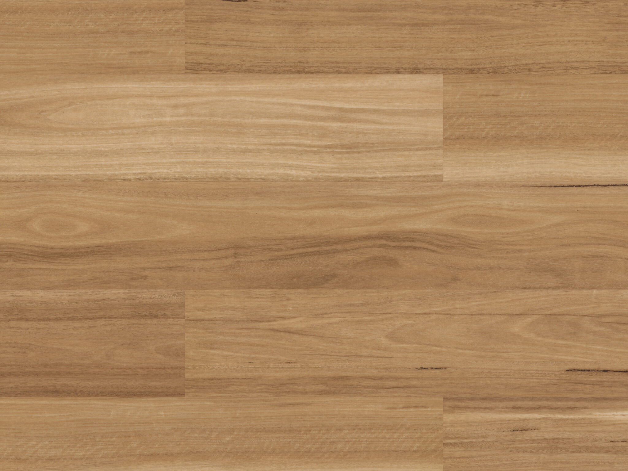 Lemon Spotted Gum Karma Flooring